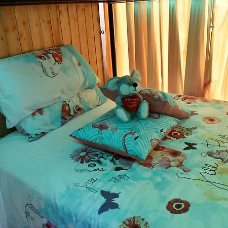 Delfines Apartamento