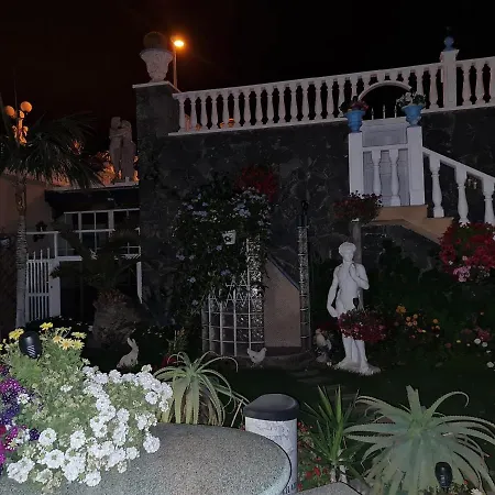 Delfines אל מדאנו