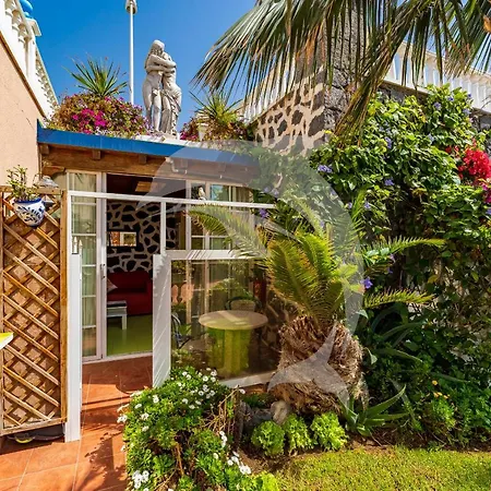 Delfines Appartement El Médano