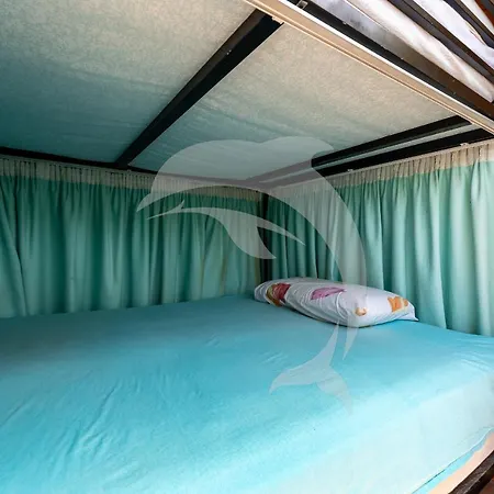 Appartement Delfines