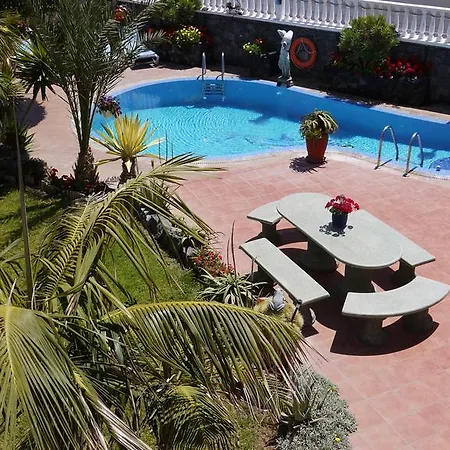 Delfines אל מדאנו